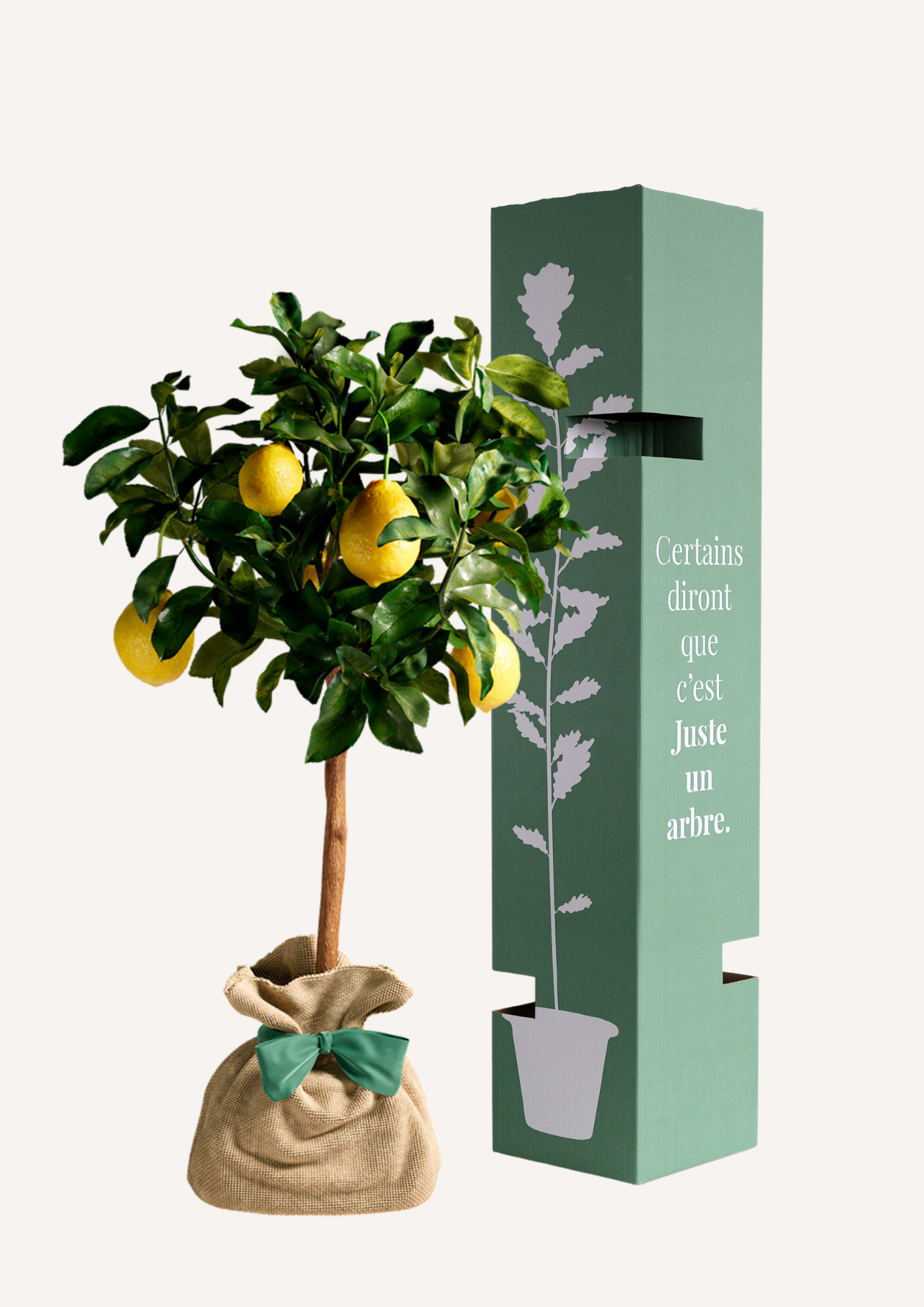 Offrir un arbre pour une naissance, un mariage, une crémaillère ou un anniversaire – Le Citronnier des 4 saisons est un symbole de vitalité et de prospérité. Un cadeau original et durable, parfait comme arbre pour balcon ou petit jardin.