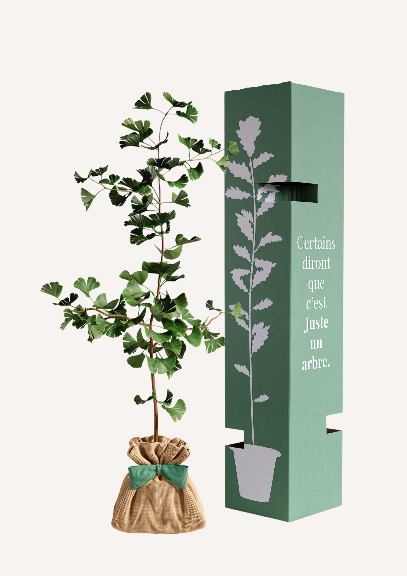 Offrir un arbre pour une crémaillère, un mariage ou une naissance – Le Ginkgo Biloba, arbre millénaire symbole de force et d’immortalité, est le cadeau idéal pour marquer un moment important. Une idée cadeau durable et respectueuse de l’environnement.