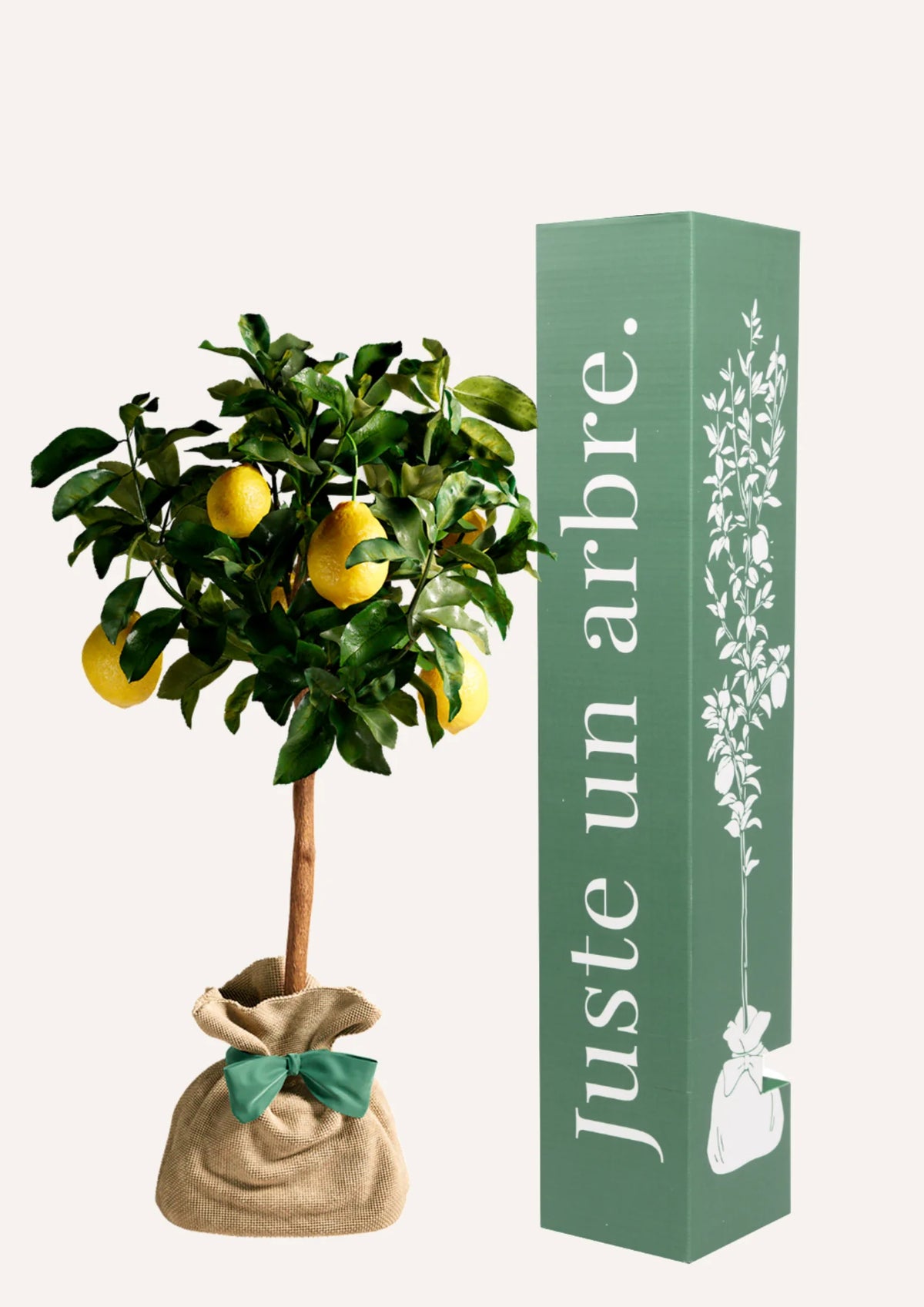 Fiche entretien : Citronnier des 4 saisons
