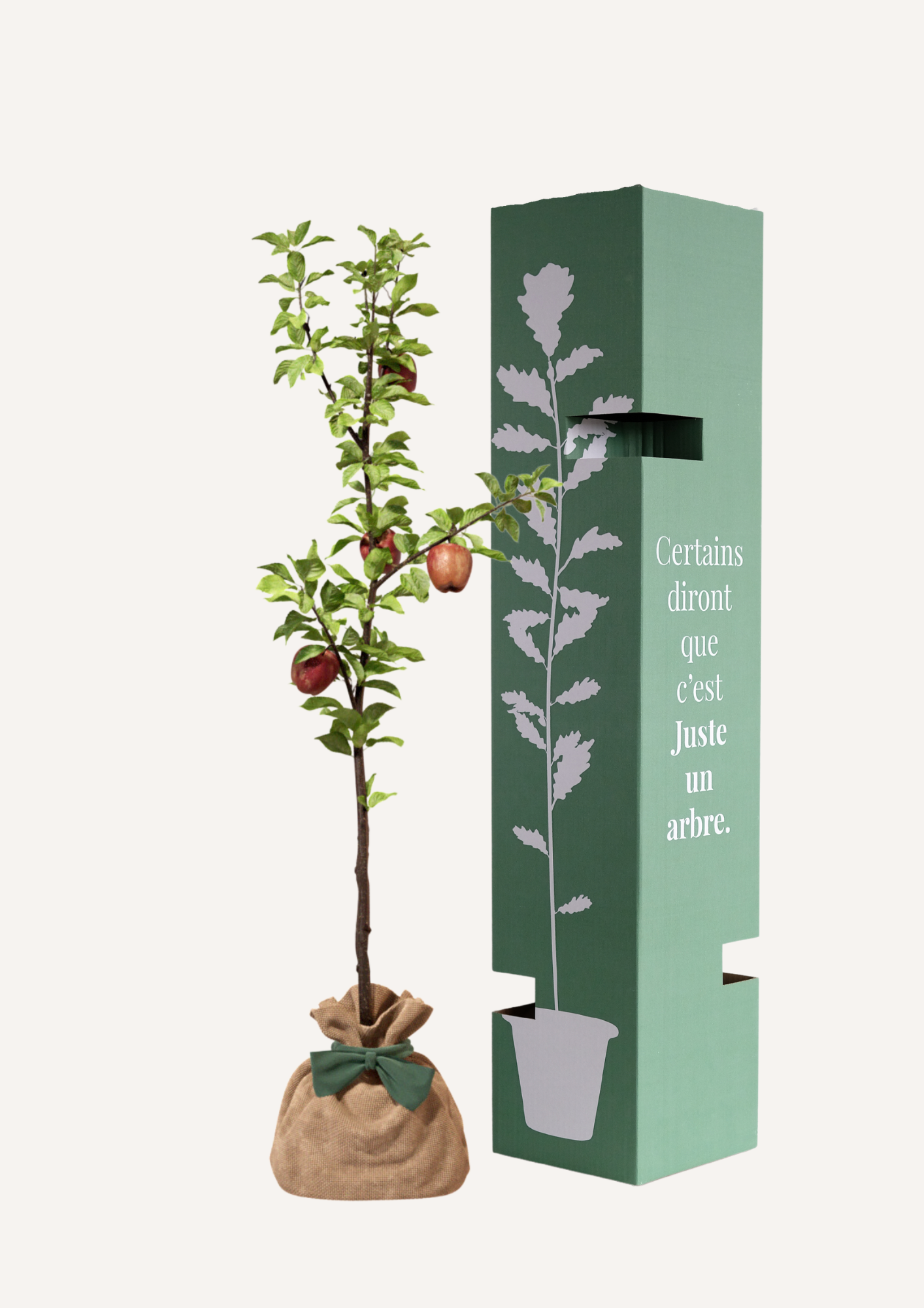 Offrir un arbre pour une naissance, un mariage ou un anniversaire – Le Pommier Reine des Reinettes symbolise la croissance, la prospérité et la transmission. Un pommier à planter parfait pour marquer un moment important et créer un souvenir vivant.