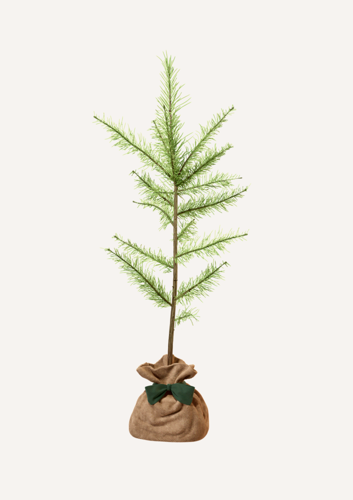 Un arbre à planter pour la biodiversité et la nature – Le Mélèze d’Europe est un arbre résistant au froid, parfait pour enrichir les forêts et favoriser la biodiversité. Offrir un mélèze, c’est offrir un arbre hommage durable et un geste pour l’environnement.