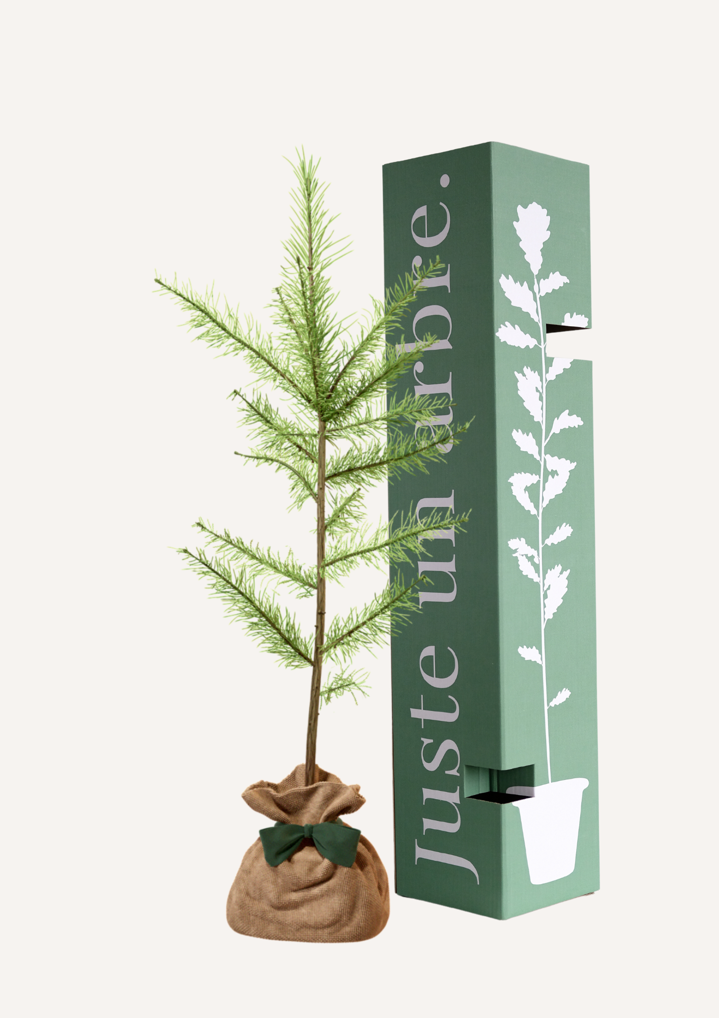 Mélèze d’Europe à planter – Arbre majestueux et résistant aux climats froids, parfait pour un jardin ou un espace naturel. Idéal comme arbre hommage, arbre pour reboisement ou arbre pour forêt résiliente. Offrir un mélèze, c’est choisir un arbre durable et élégant.