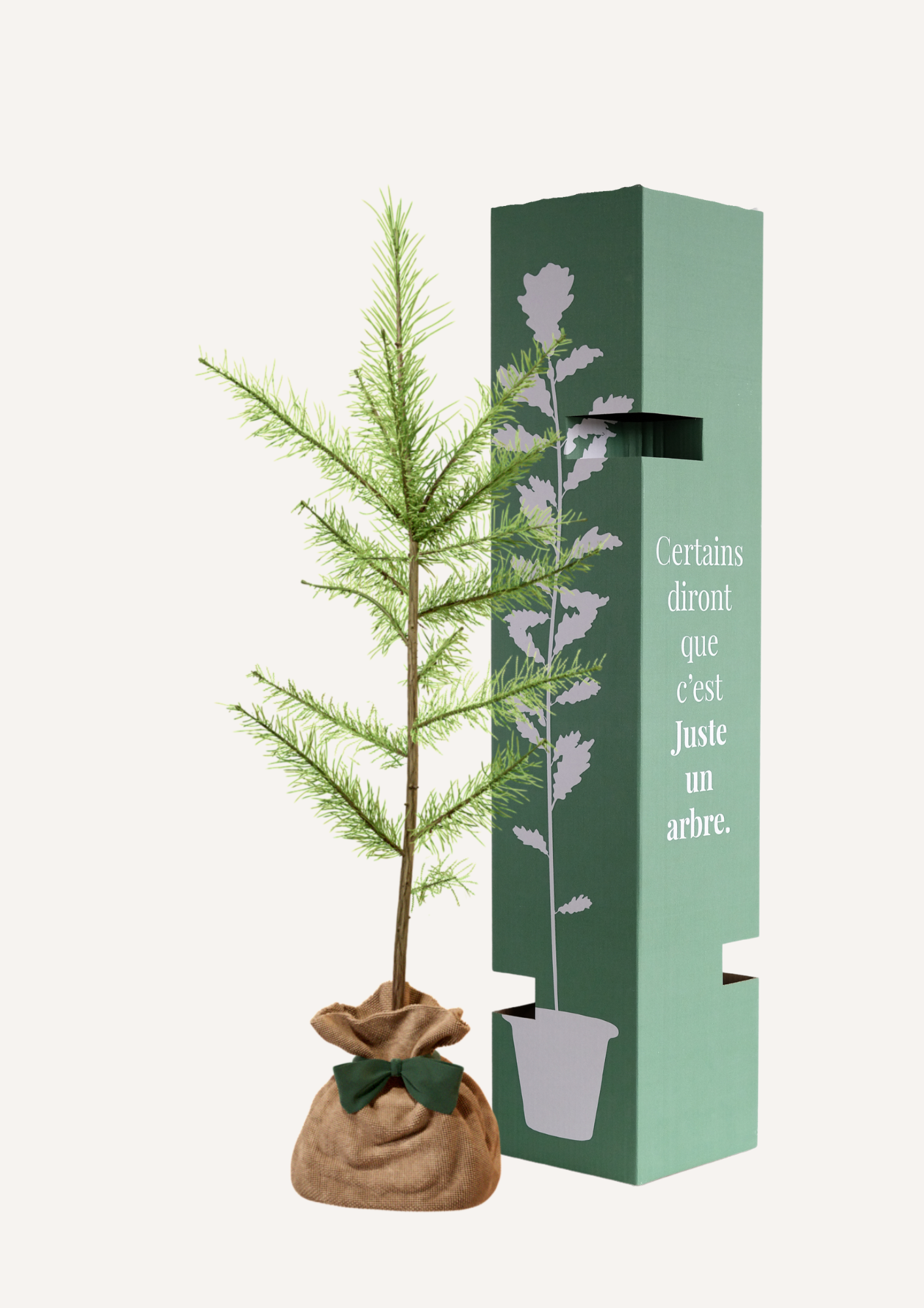 Offrir un arbre pour un hommage, un deuil ou un projet écologique – Le Mélèze d’Europe symbolise la force et la renaissance. Un arbre hommage idéal pour honorer un être cher, un arbre pour reboisement ou un cadeau durable pour un engagement environnemental fort.