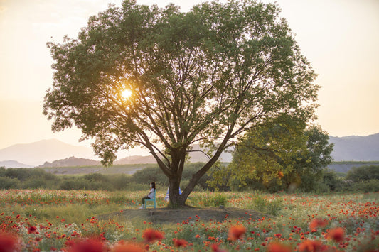 Arbre de vie symbole 
