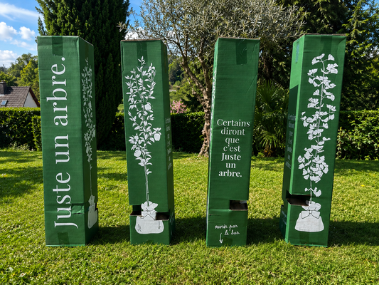 emballage-juste-un-arbre
