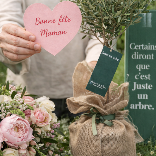 Cadeau fête des Mères 2026 : un arbre en pot symbolique à offrir à sa maman