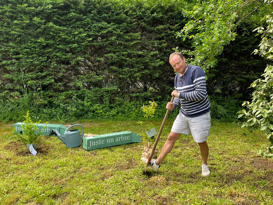 Comment planter un arbre ? Réussir la plantation d'un arbre à coup sur - Juste un Arbre 