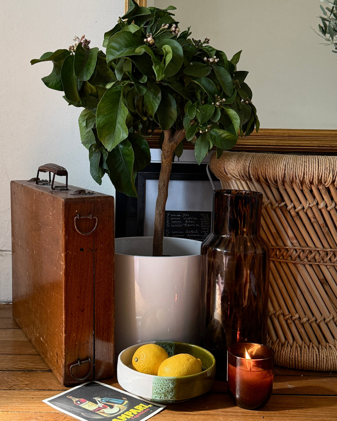 arbre en pot ou pleine terre comparaison symbolique et pratique