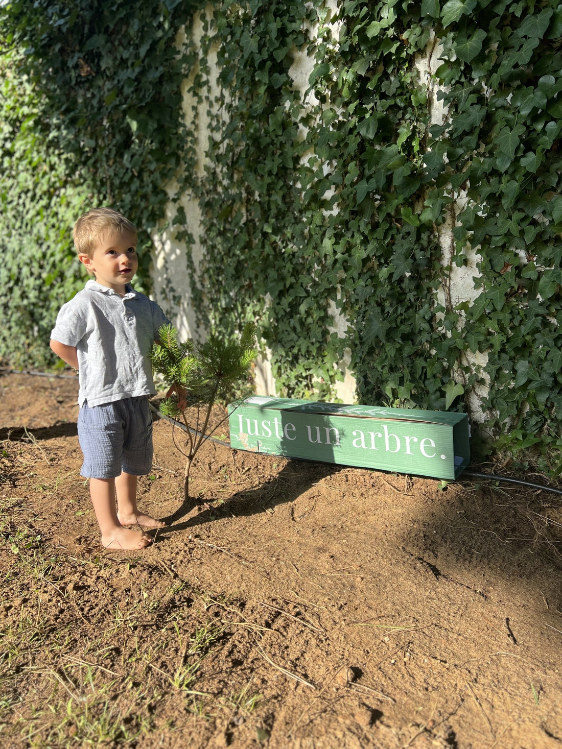 Juste un arbre - Petit garçon a côté d'un jeune pin sylvestre 