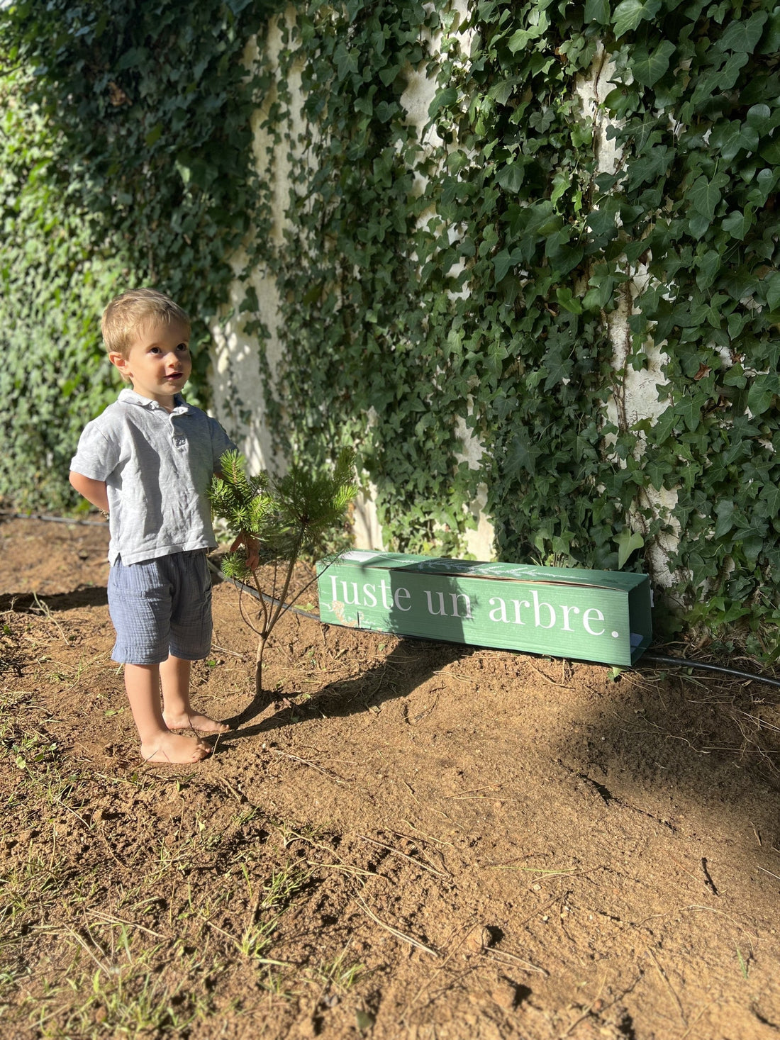 Arbre a planter dans un petit jardin - Enfant qui tient l'arbre dans ses mains 