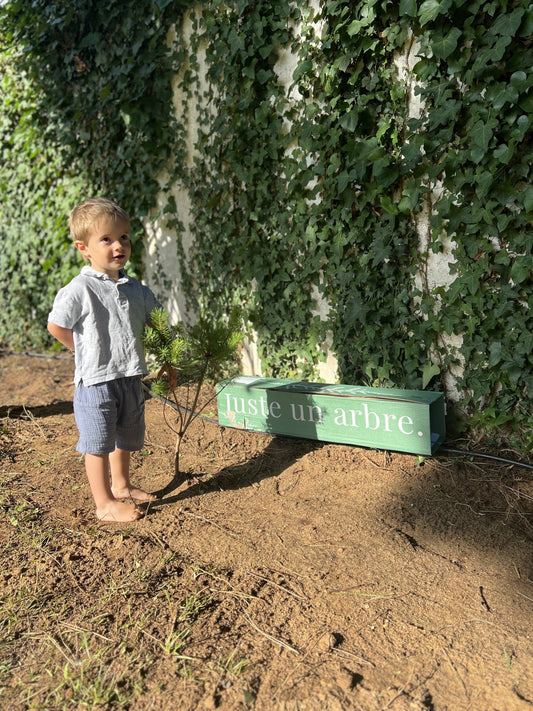 Arbre a planter dans un petit jardin - Enfant qui tient l'arbre dans ses mains 