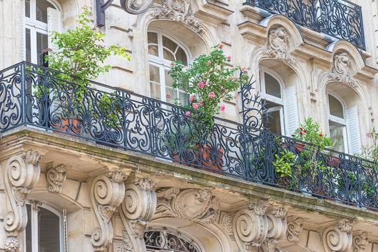 Des arbres sur son balcon : Les meilleurs arbres à planter en pot - Juste un Arbre