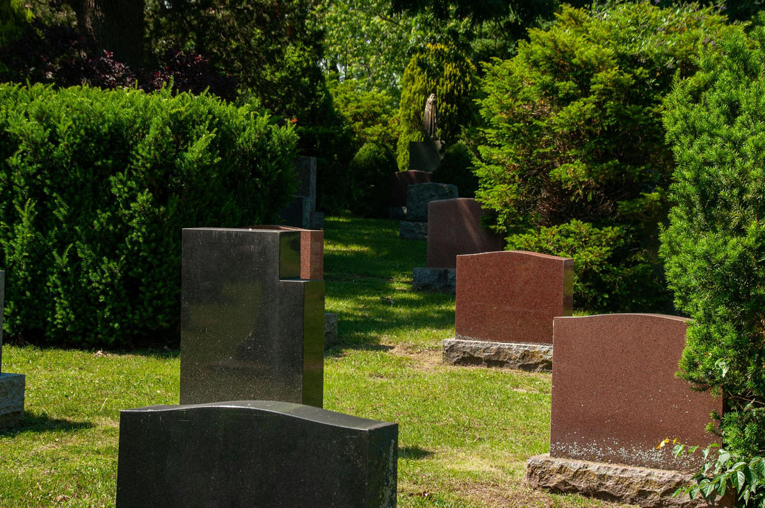 planter arbre cimetière 