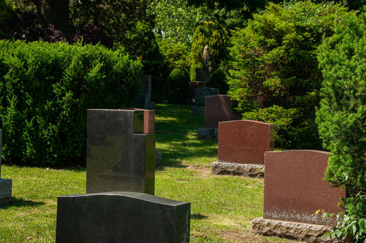 planter arbre cimetière 