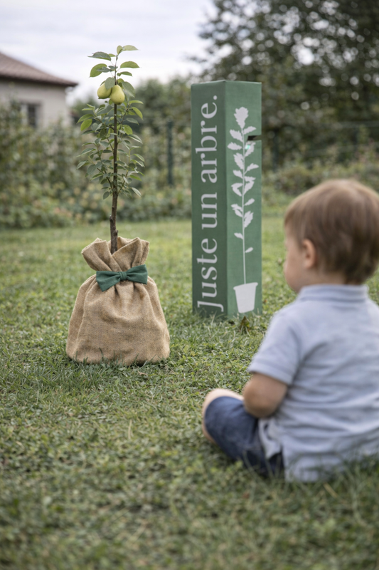 Arbre de naissance planté pour célébrer une naissance à distance
