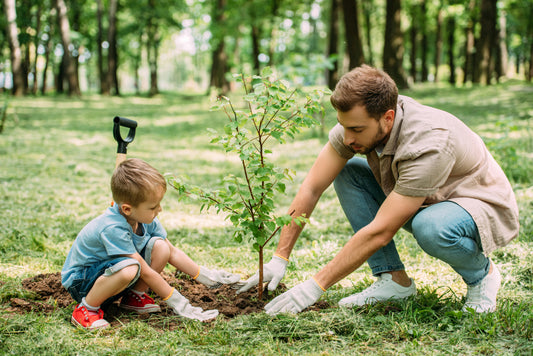 Offrir un arbre à planter pour une naissance : Quel arbre choisir ? - Juste un Arbre