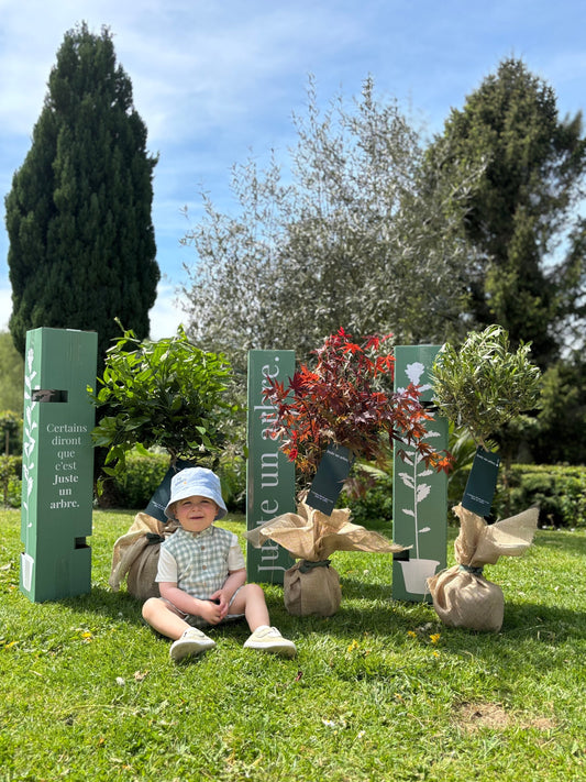 Offrir un arbre à la naissance : un cadeau durable, symbolique et écologique pour célébrer une nouvelle vie avec amour et sens.