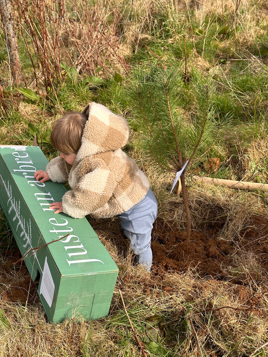 Planter un arbre pour marquer un événement
