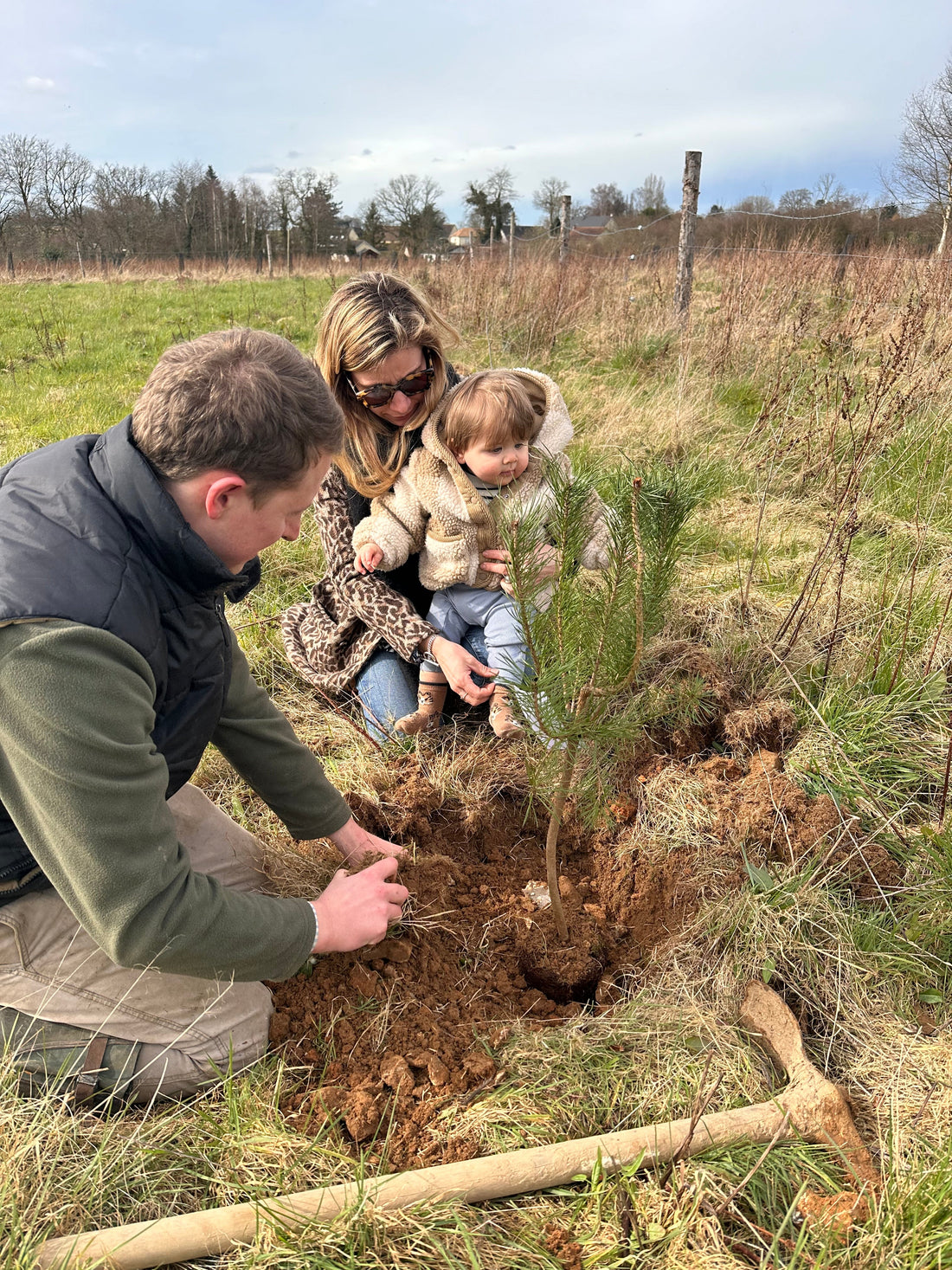 Plantation d’un jeune arbre en pleine terre, illustrant la bonne période et les gestes clés pour réussir selon la saison choisie