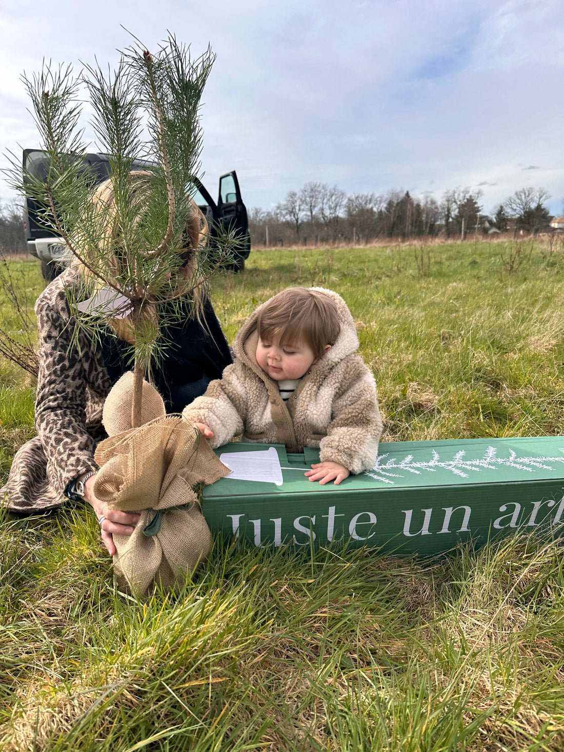 Arbre de naissance planté dans un jardin, symbolisant la croissance d’un enfant et le souvenir d’un moment unique et durable.