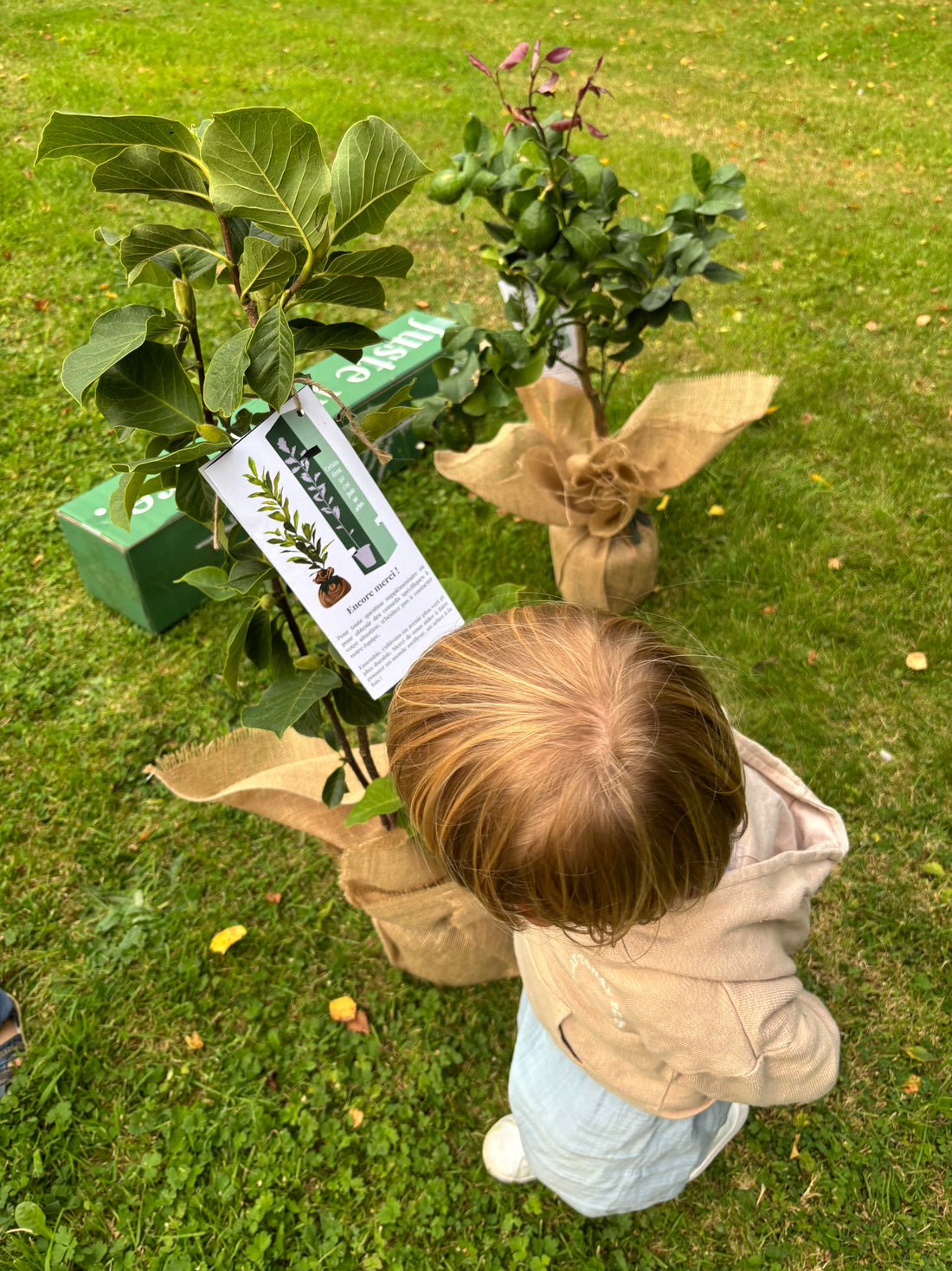 Arbre planté pour célébrer la naissance d’un bébé, cadeau écologique et symbolique en pleine nature.