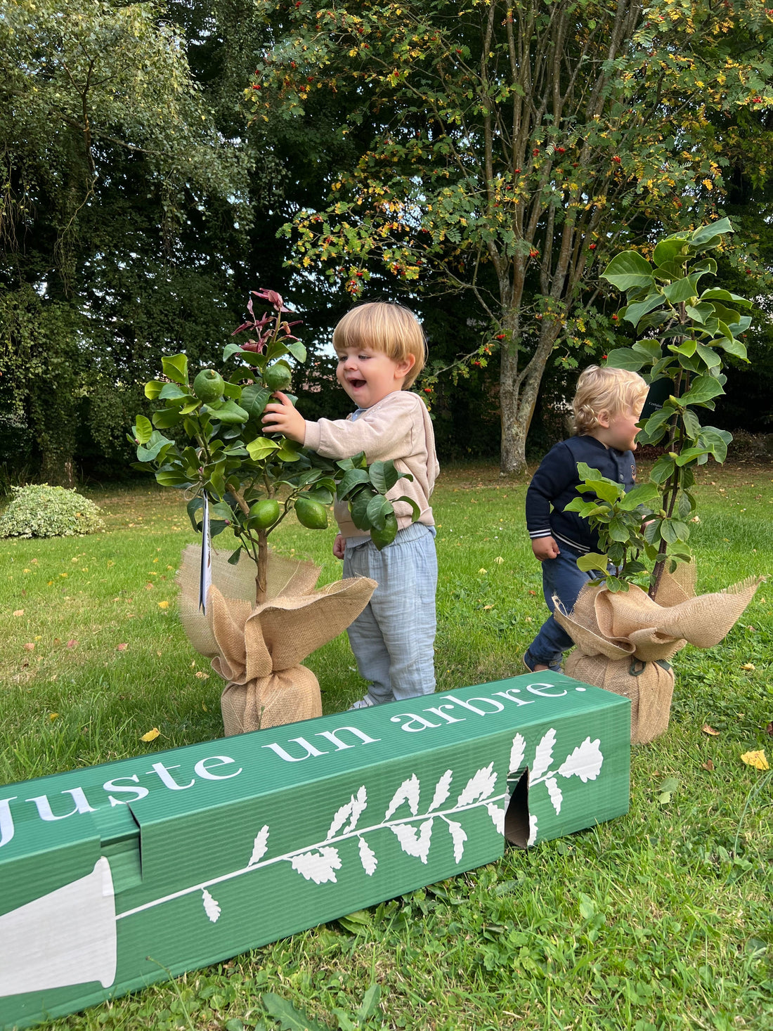 Offrir un arbre comme alternative durable et symbolique aux fleurs coupées