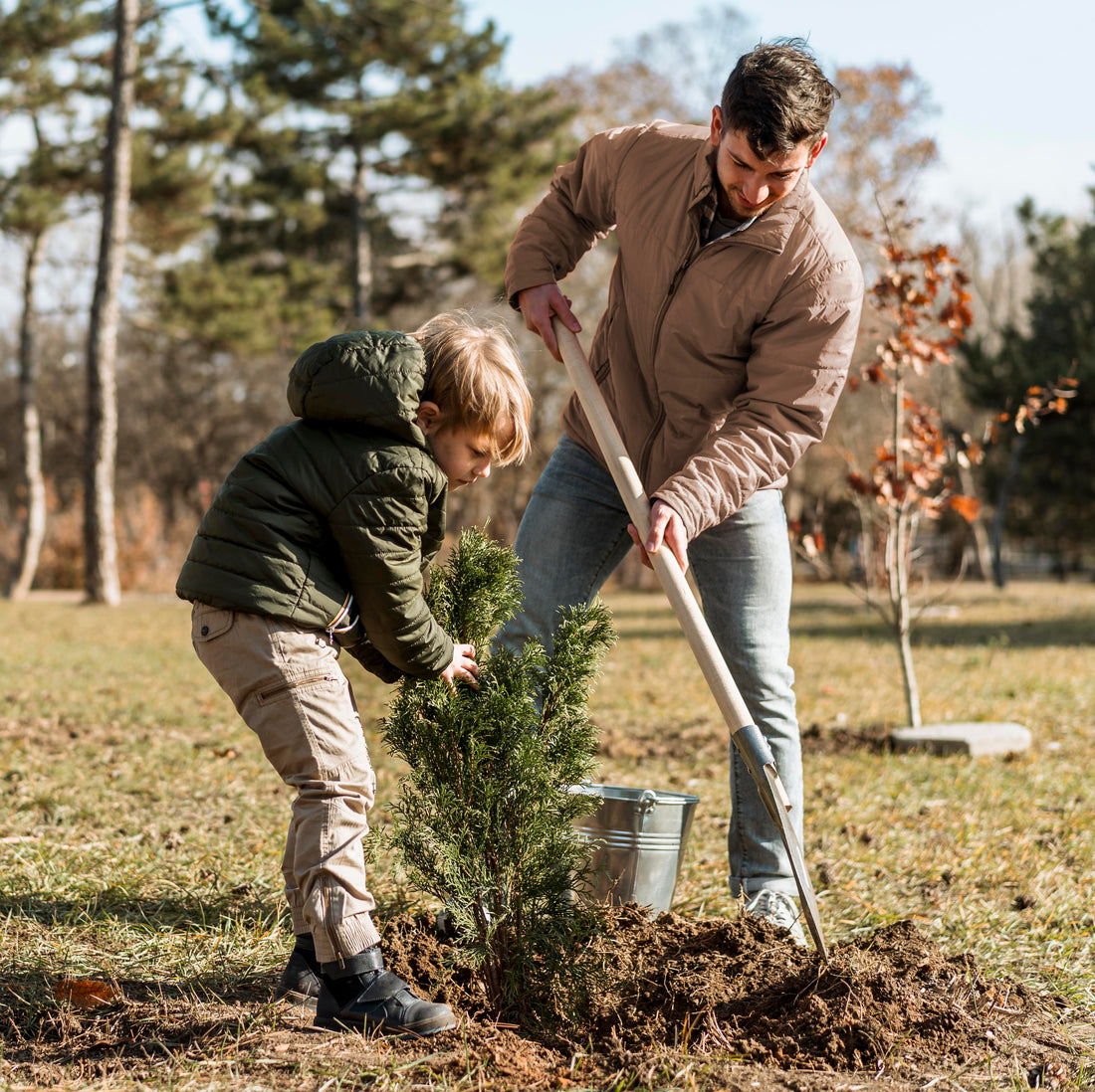 Jeune arbre offert pour célébrer une naissance, planté dans un jardin pour symboliser la croissance et la vie.