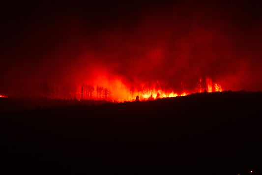 incendie en france feu de forêt