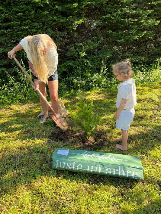 Planter un arbre chez soi ou en forêt : quel geste symbolique choisir ?