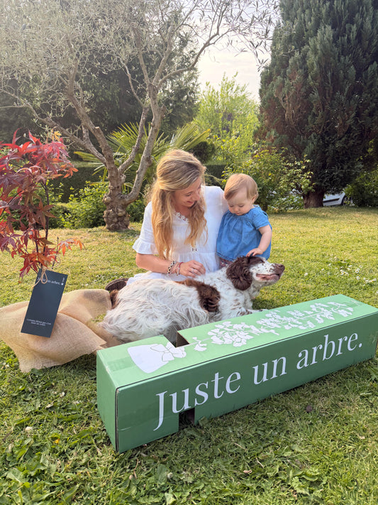 arbre idée cadeau personnalisée