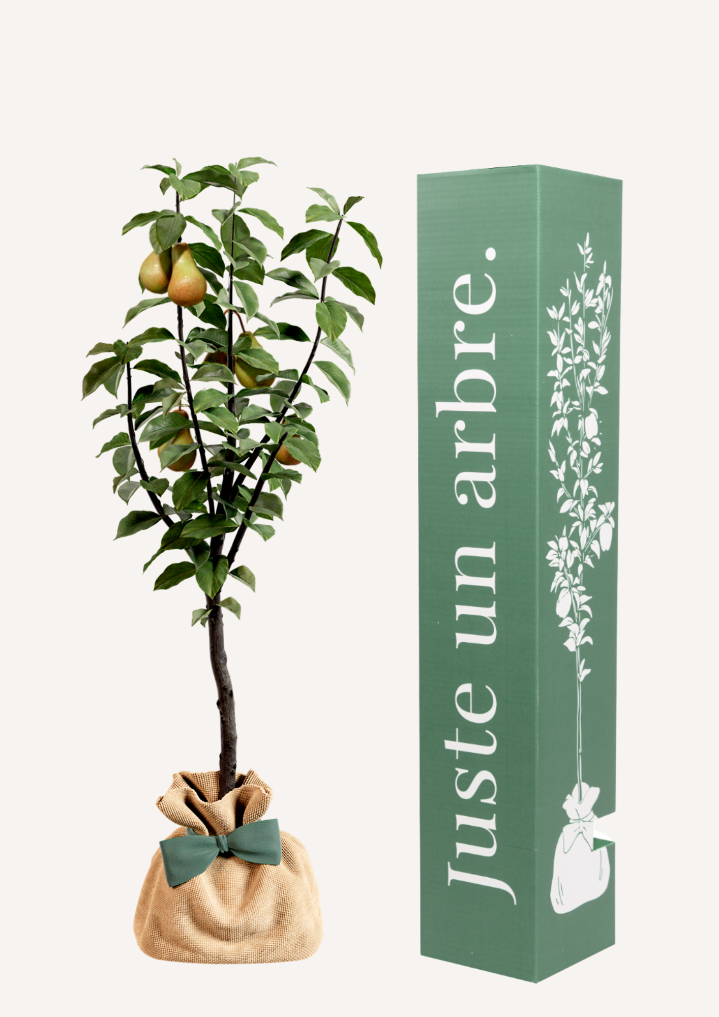 Un poirier à offrir – idée cadeau symbolique douce et pleine de sens