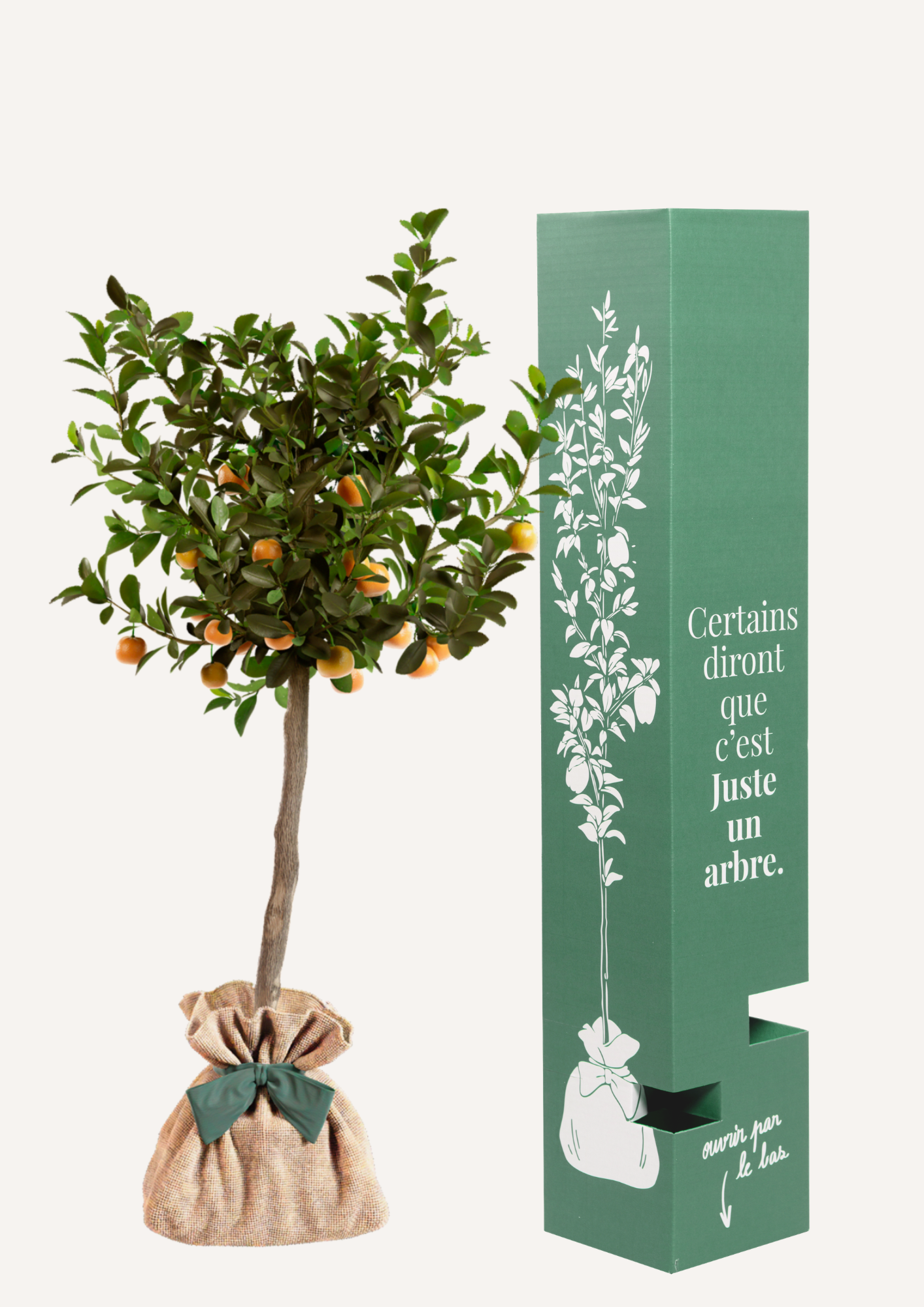 Offrir un calamondin – alternative aux fleurs pour un cadeau durable