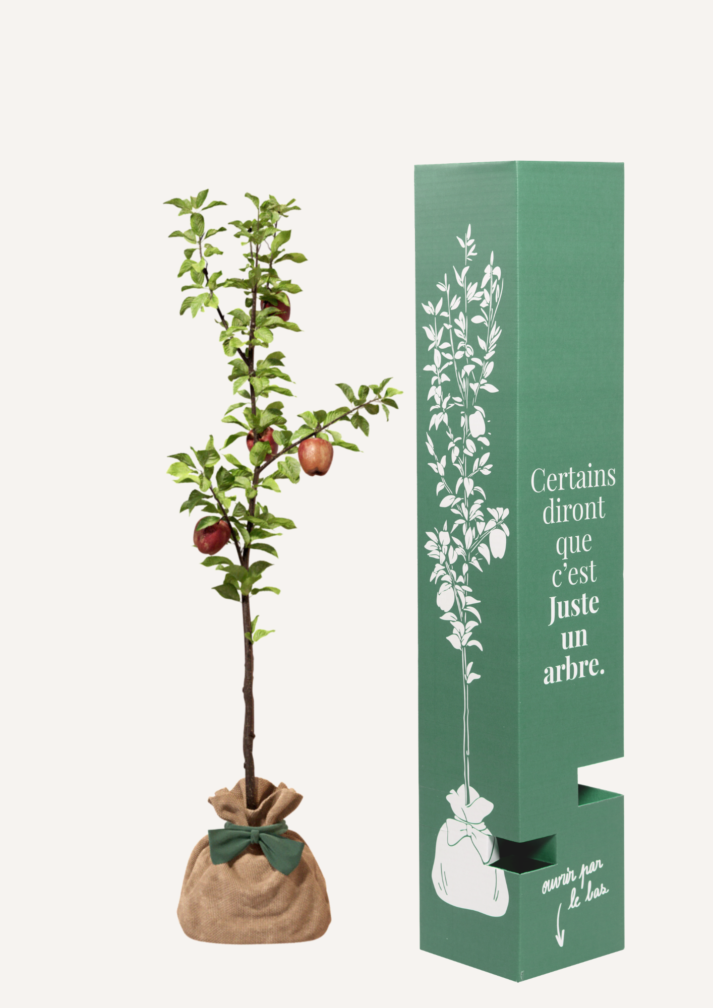 Un pommier à offrir – idée cadeau symbolique pleine de douceur et de nature
