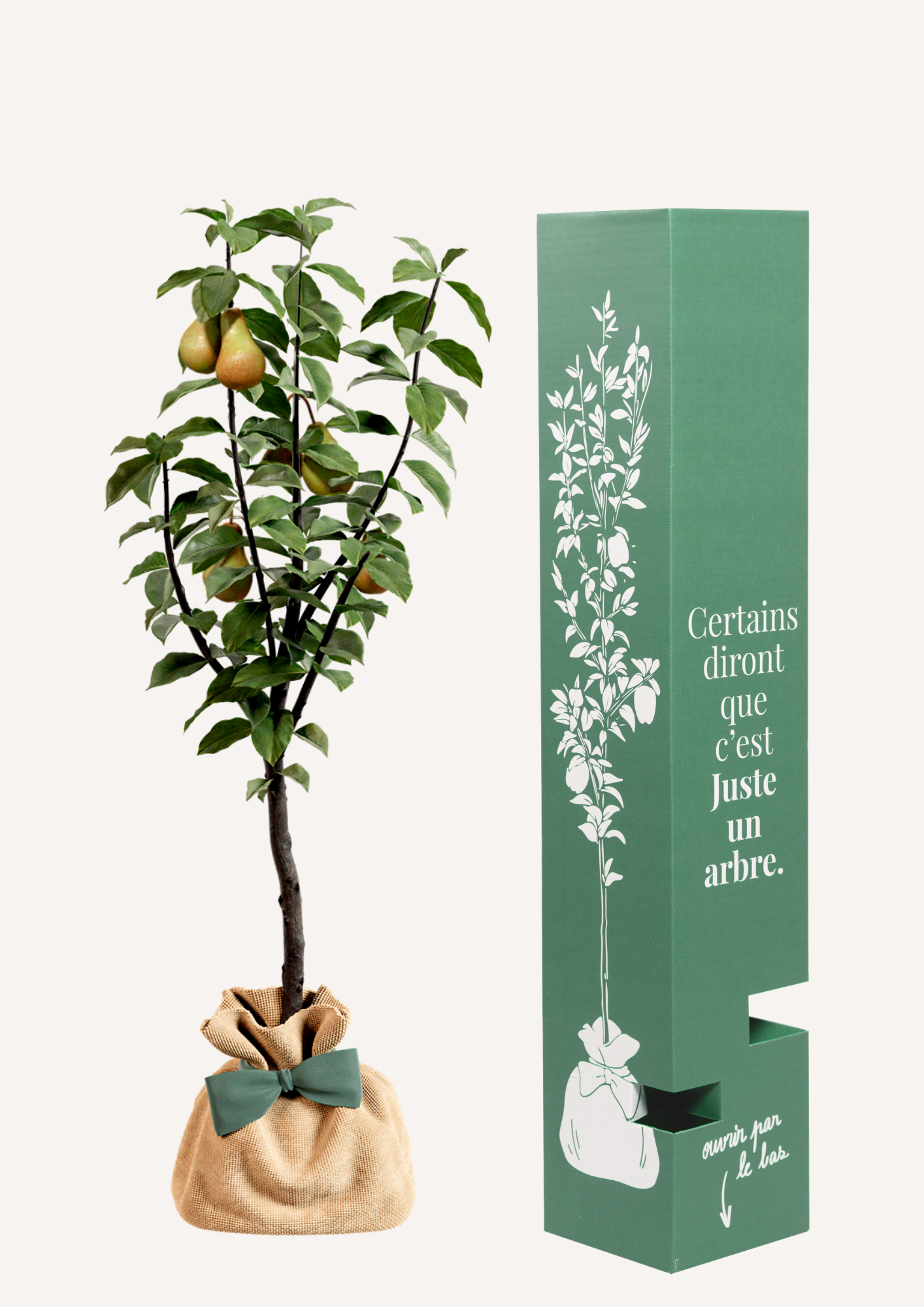 Offrir un arbre pour un mariage