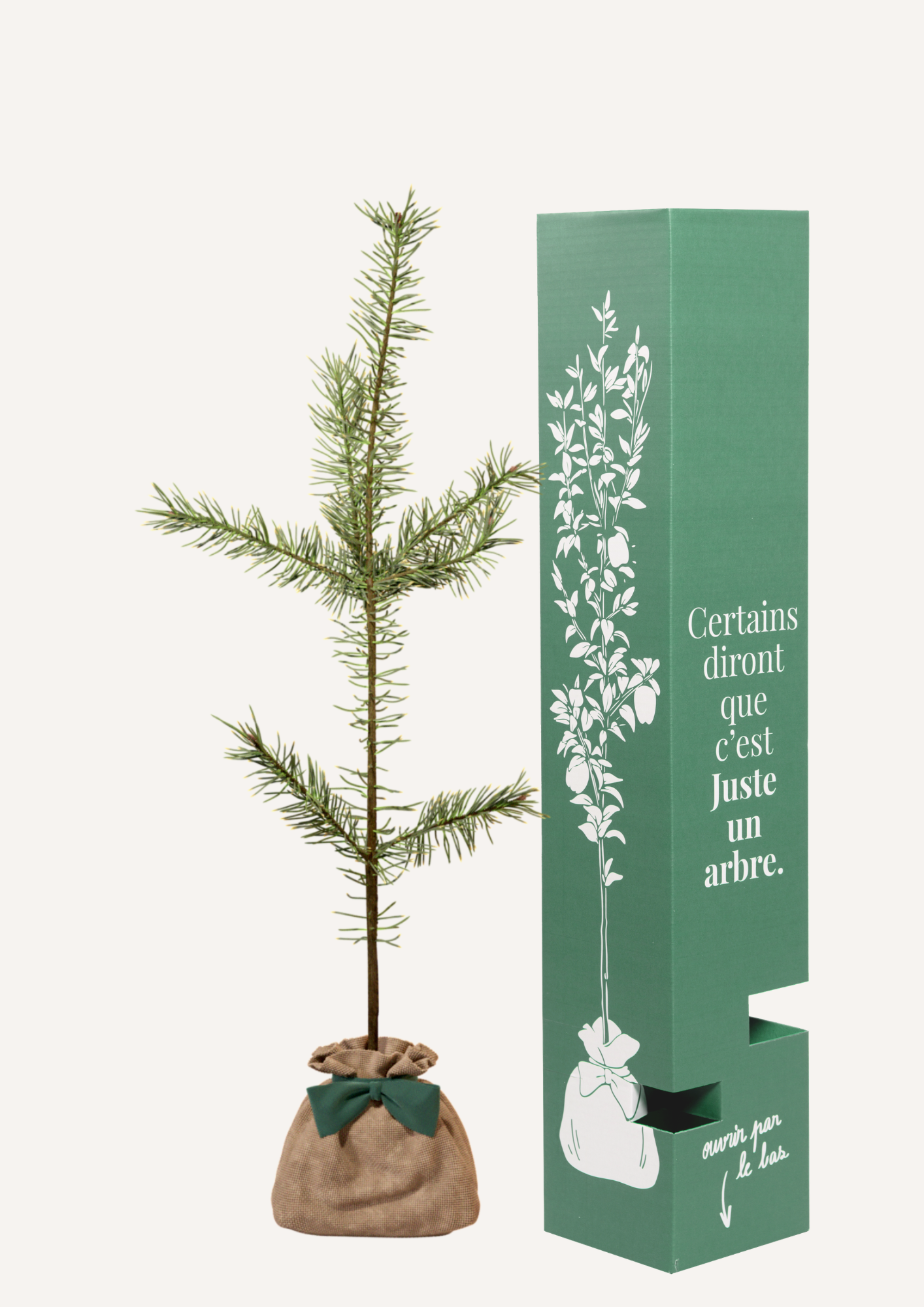 Planter un pin sylvestre – une idée cadeau symbolique pour marquer un moment