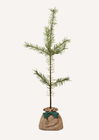 Offrir un arbre – pin sylvestre pour un cadeau original et intemporel