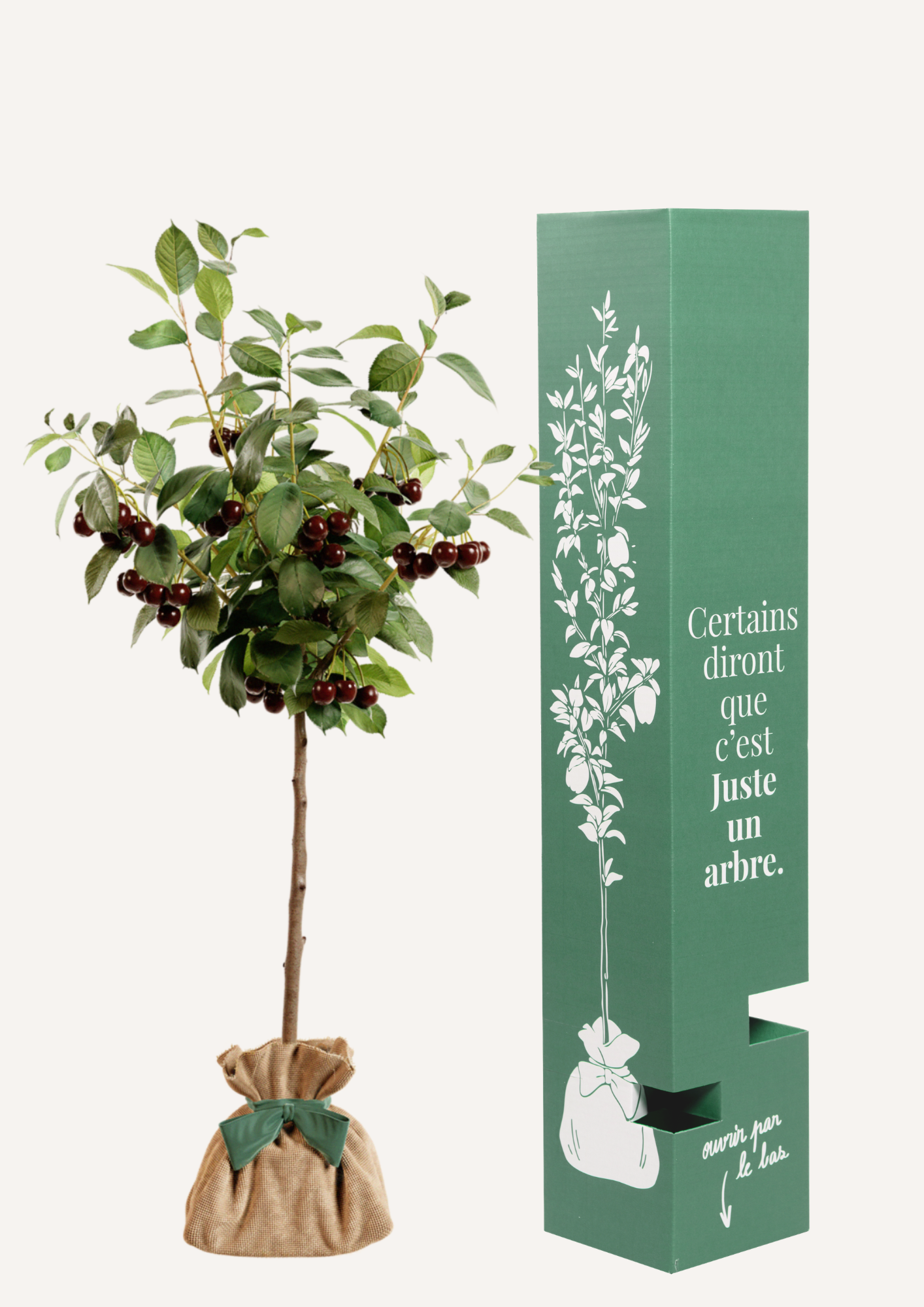 Un cerisier plutôt que des fleurs – une idée cadeau qui ne fane pas