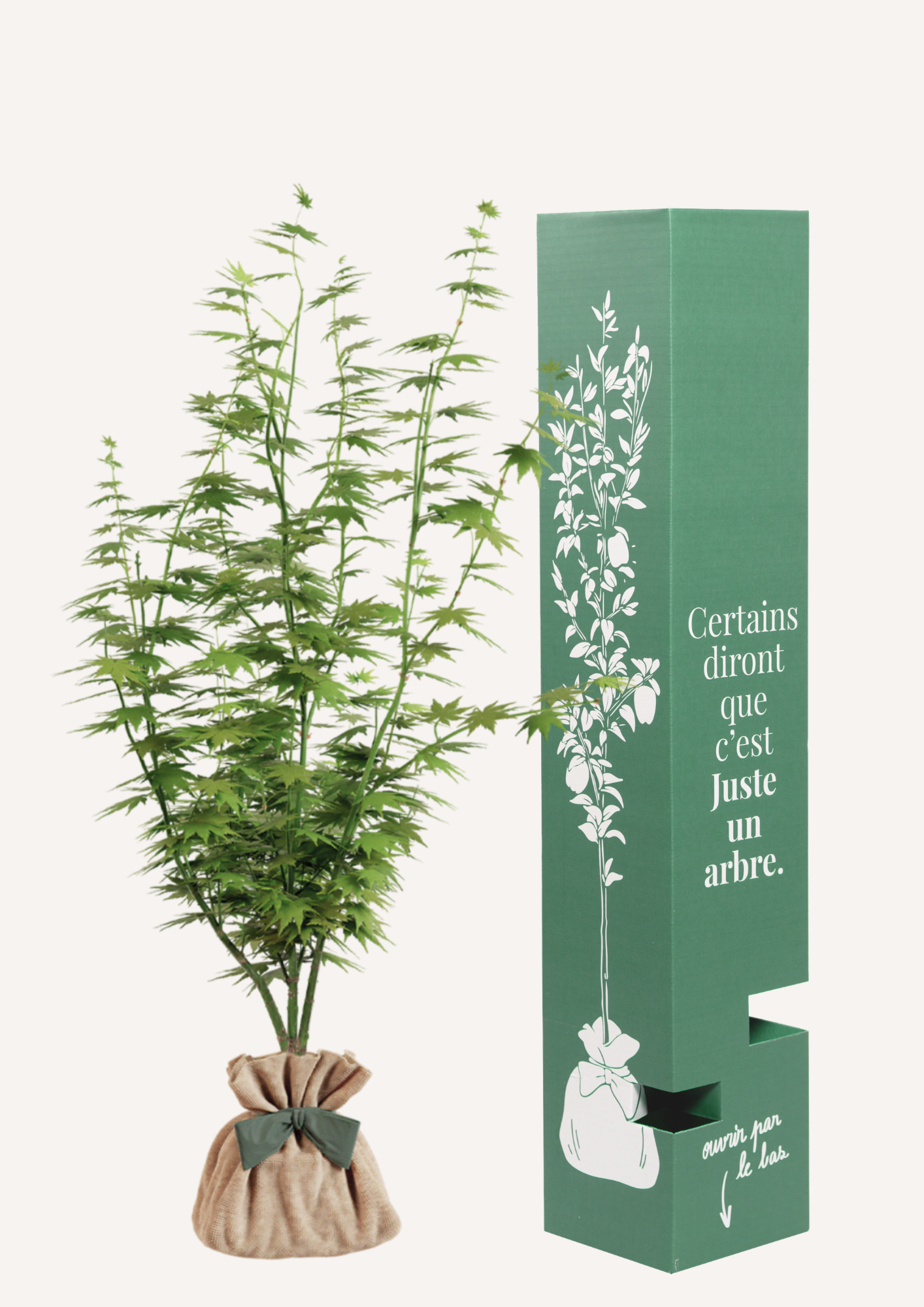 arbre de naissance cadeau